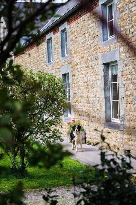 Gite La Dame Au Lit Gite A La Ferme Momignies Exterior photo